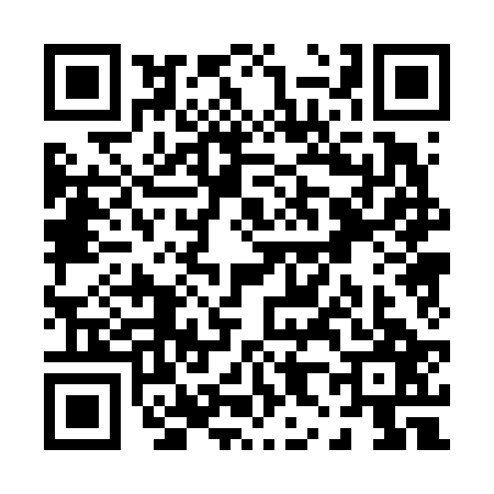 QR code for P806277