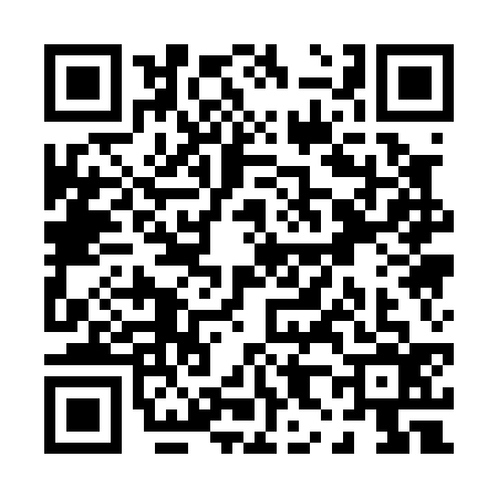 QR code for P810369