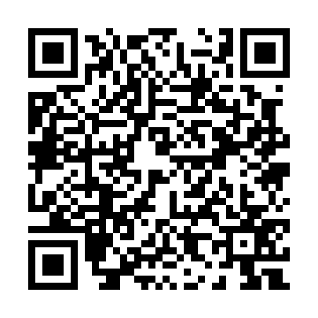 QR code for P810771