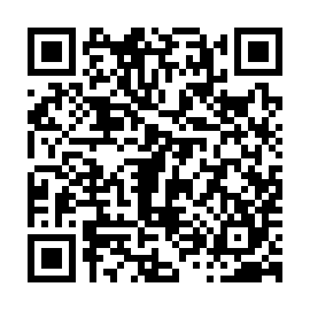 QR code for P813845