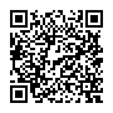 QR code for P818657