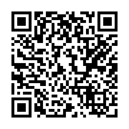 QR code for P81938