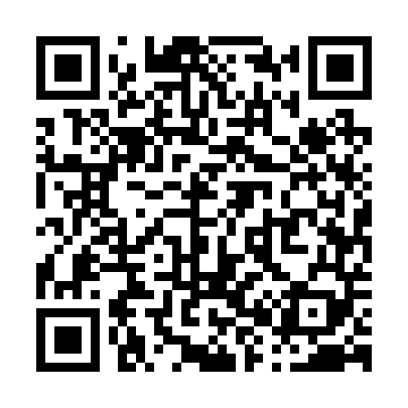 QR code for P85249