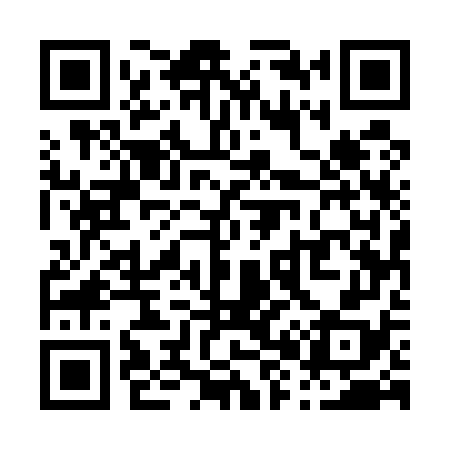 QR code for P85578