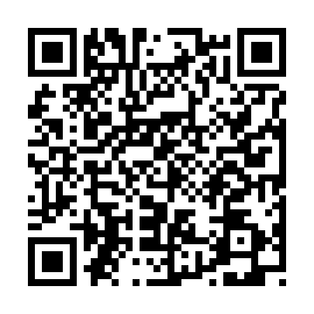 QR code for P856125