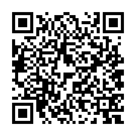 QR code for P863725