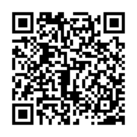 QR code for P863973