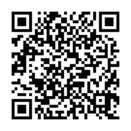 QR code for P86867