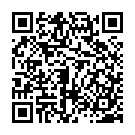 QR code for P868676