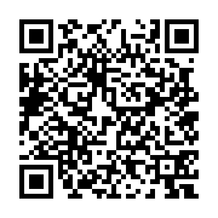 QR code for P870704