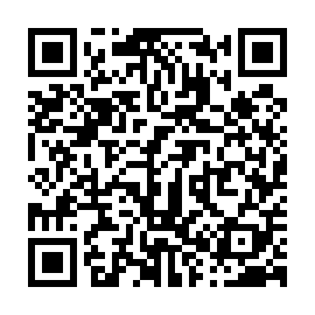 QR code for P87509