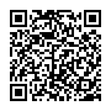 QR code for P87538