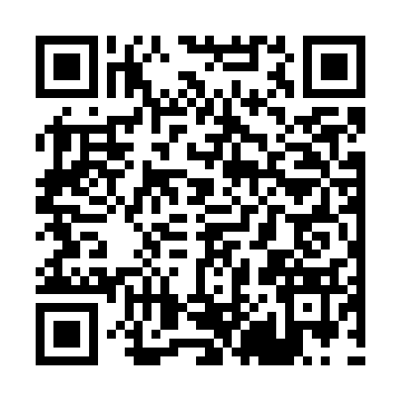 QR code for P877331