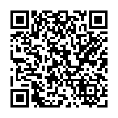 QR code for P88383