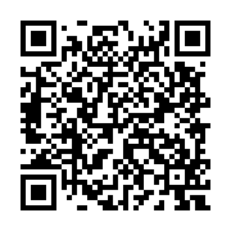 QR code for P88597