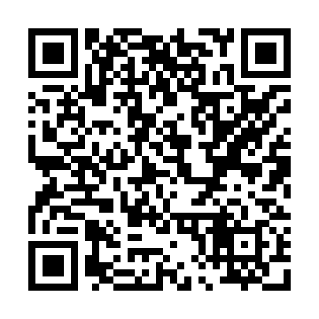 QR code for P88838