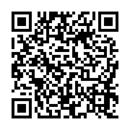 QR code for P889575