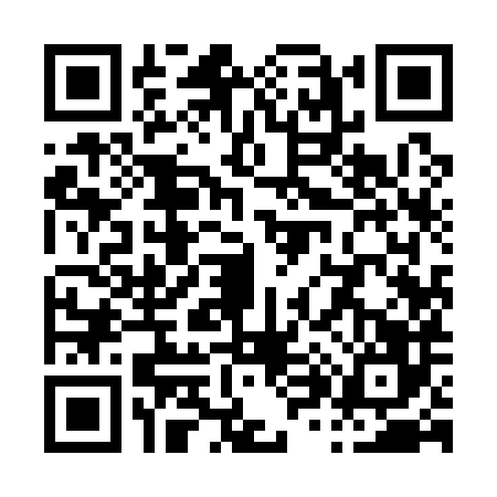 QR code for P891868