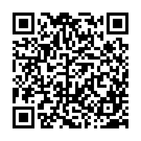 QR code for P89386