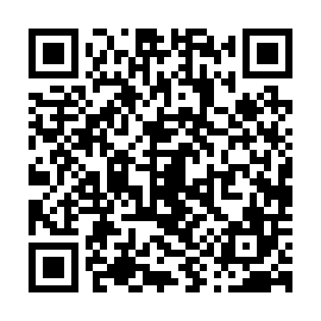 QR code for P90206