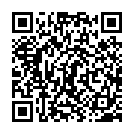 QR code for P90233