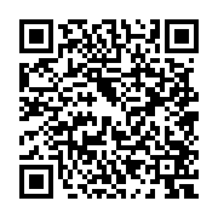 QR code for P905439