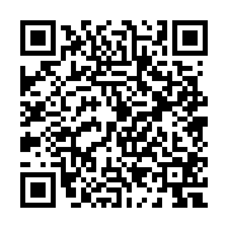 QR code for P907049
