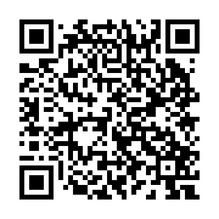 QR code for P91207