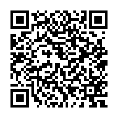 QR code for P913570