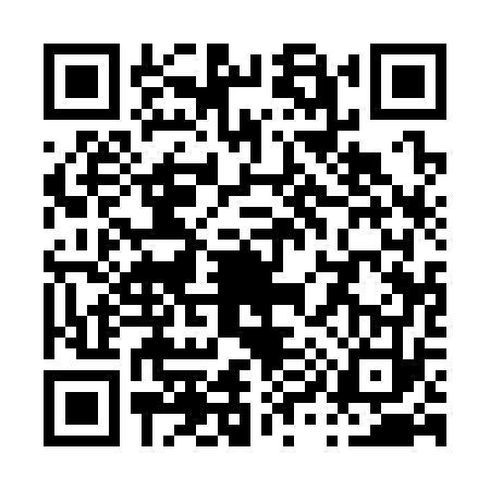 QR code for P913732