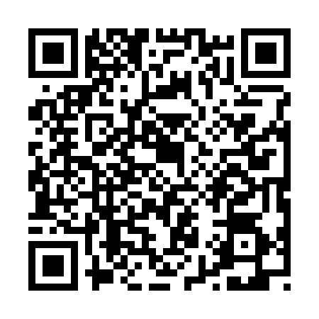 QR code for P913740