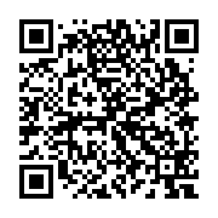 QR code for P91399