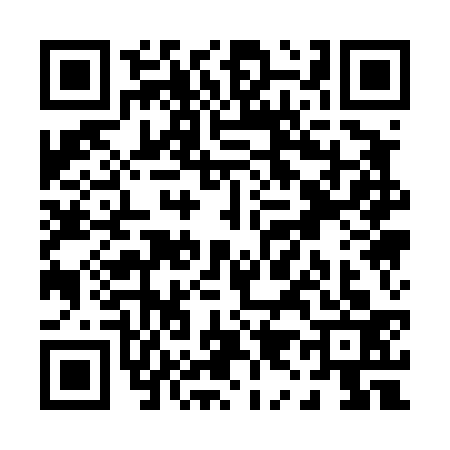 QR code for P914338