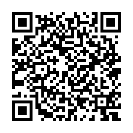 QR code for P916101