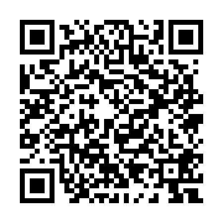 QR code for P917086