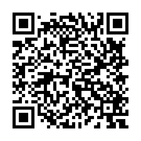 QR code for P91849