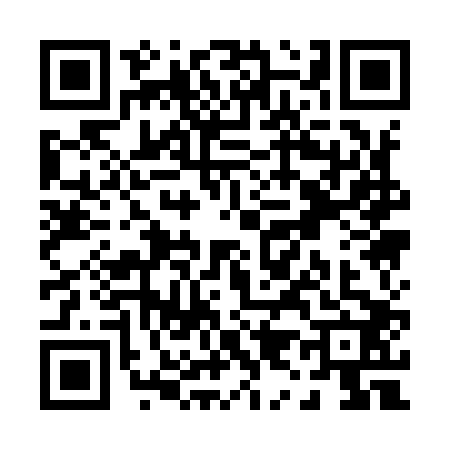 QR code for P919026