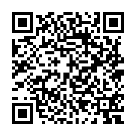 QR code for P919103