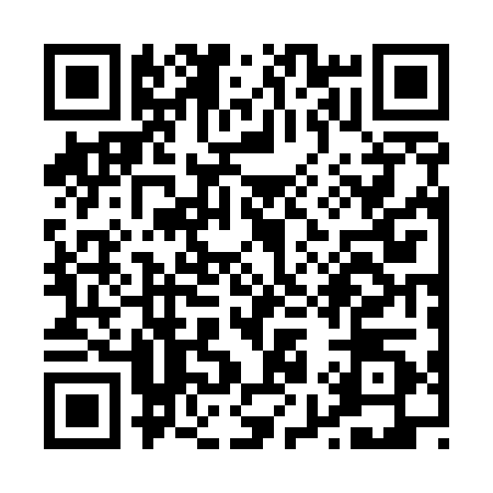 QR code for P925204