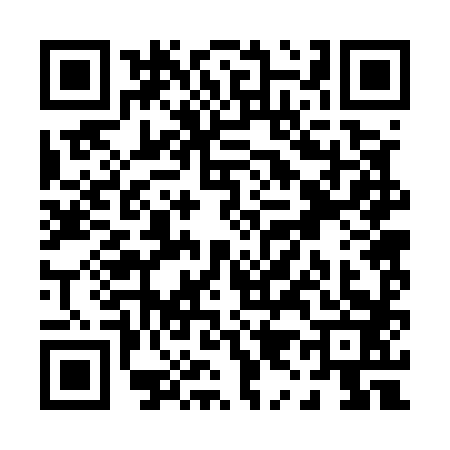 QR code for P925839