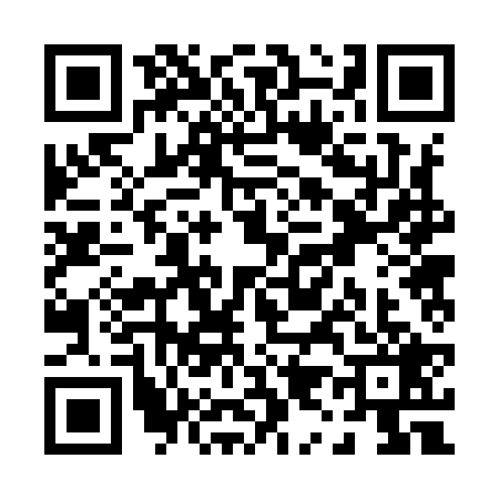QR code for P929295
