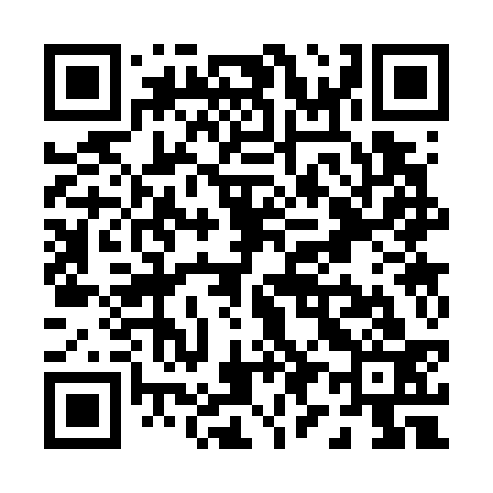 QR code for P93733