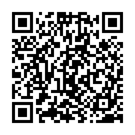 QR code for P93877