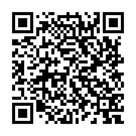 QR code for P93973