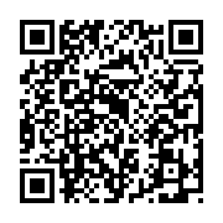 QR code for P951394