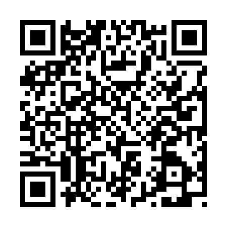 QR code for P953175