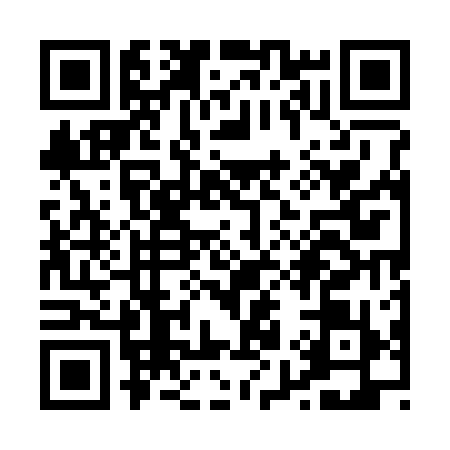 QR code for P953199