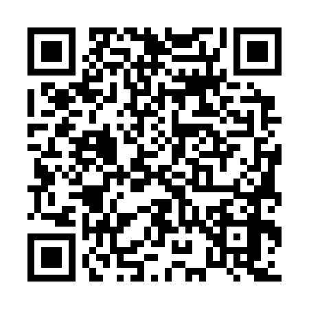 QR code for P953785