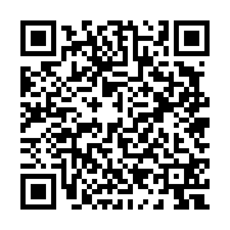 QR code for P954203