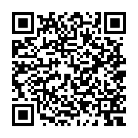 QR code for P955533